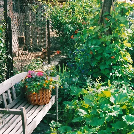 Appartement Spacious Near Forest In Oberprechtal Elzach