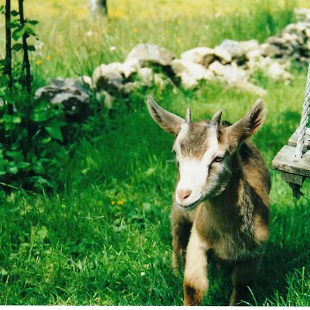 Appartement Spacious Near Forest In Oberprechtal *